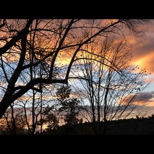 Meet your Posher, Lilly